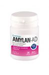 amylan-ad-30-tabletek.jpg