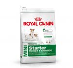 royal-canin-mini-starter-1kg.jpg